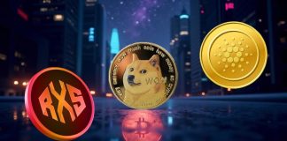 Don’t Cease at XRP, Cardano, and Dogecoin: three Extra Cash That May Take You from $650 to $650,000 in 12 Months.