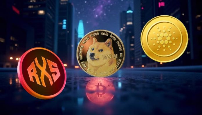 Don’t Cease at XRP, Cardano, and Dogecoin: three Extra Cash That May Take You from $650 to $650,000 in 12 Months.