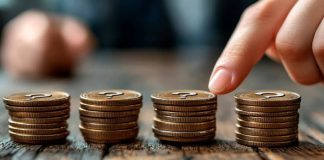 12 months-Finish Crypto Picks: December 2024’s High Crypto Performers