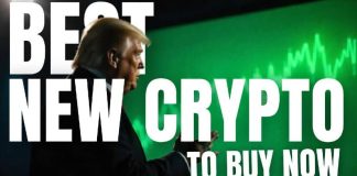 New Crypto to Purchase As we speak for the Subsequent Bull Run [December 2024]