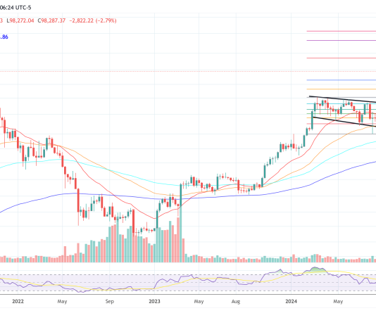 Bitcoin Is ‘Extremely Seemingly’ In A Supercycle: Skilled Explains Why