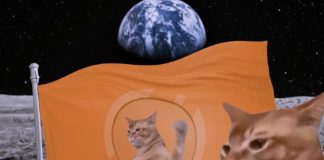 Popcat Rival Catslap Explodes Greater After MEXC Itemizing and $100Ok Announcement