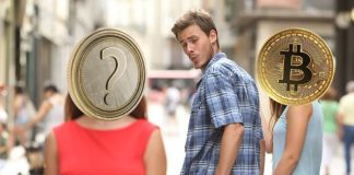 Bitcoin Dominance Fades as These Altcoins Gear As much as Lead the Subsequent Bull Market