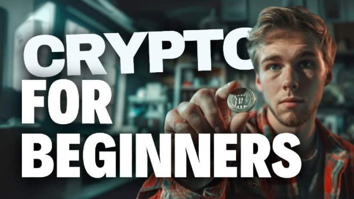 Finest Crypto to Purchase for Newbies – 2025’s Crypto Information 