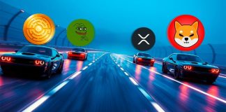 four Prime Dogecoin (DOGE) Alternate options to Put 1,000 USDT Into This Altcoin Season