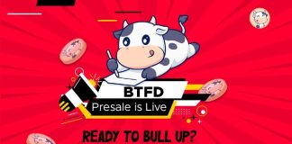 Finest Meme Cash to Purchase Earlier than New 12 months: BTFD Presale Off to the Moon, Bonk Jumps 100% in 30 Days as Floki Inu Goals to Improve Utility