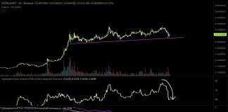 Dogecoin Defies Crypto Market Crash: Analyst Says It Seems ‘Unbelievable’