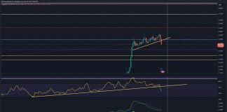 Dogecoin Enters ‘Full Breakdown Mode’: How Low Can DOGE Go?