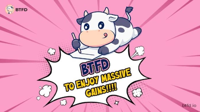 10 Greatest Meme Cash to Purchase Earlier than Christmas and New 12 months’s Eve