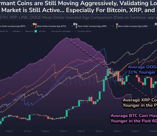 XRP Worth Defies Bearish Crypto Pattern, Rallies 6%: Key Drivers Revealed