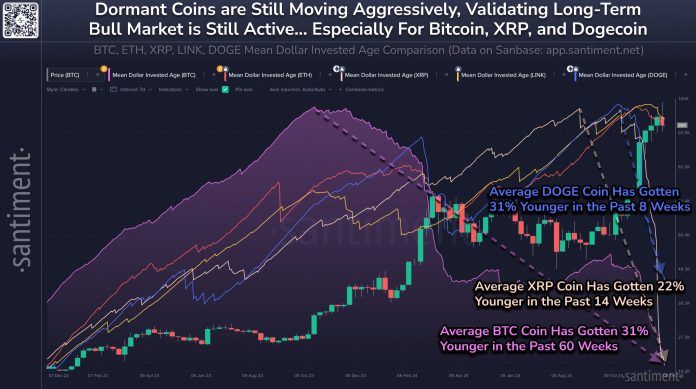 XRP Worth Defies Bearish Crypto Pattern, Rallies 6%: Key Drivers Revealed