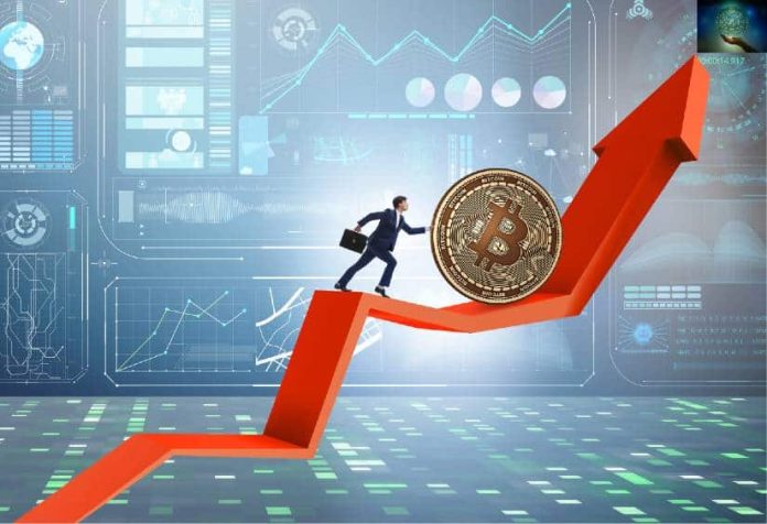 Greatest Presales to Purchase Earlier than 2025: Tokens Prepared for 200x Development