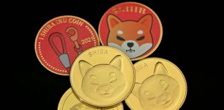 Shiba Inu Bulls Goal Increased As SHIB Sights $0.00002960 For A Contemporary Rally