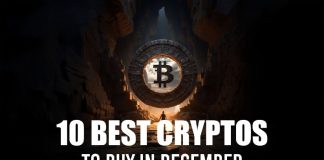 10 Finest Cash to Take part December 2024 as Buyers Anticipate Professional-Crypto Insurance policies from the Incoming US President