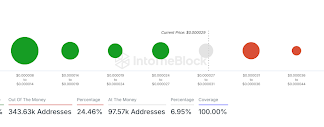 Shiba Inu Worth Rebounds Towards $0.00003, Taking 69% Of All Holders Again Into The Inexperienced Shiba Inu Worth Rebounds Towards $0.00003, Taking 69% Of All Holders Again Into The Inexperienced