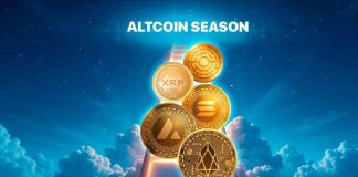 Altcoin Season Is Coming: Prime 5 Cash with Large Development Potential