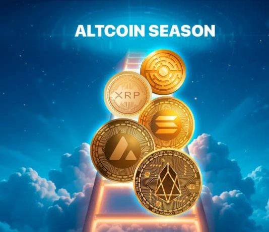 Altcoin Season Is Coming: Prime 5 Cash with Large Development Potential
