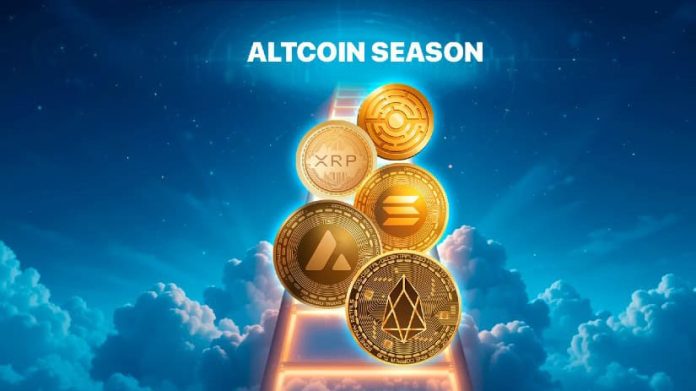Altcoin Season Is Coming: Prime 5 Cash with Large Development Potential