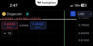 Dogecoin Value Hunch Looms, Analyst Factors To Solely One Lifeline