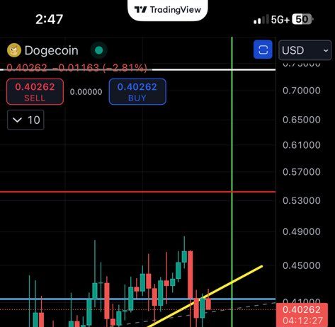 Dogecoin Value Hunch Looms, Analyst Factors To Solely One Lifeline