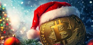December’s High Crypto Picks: Eight Cash That May Make You Wealthy