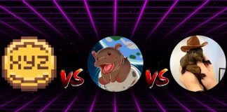XYZVerse vs. Moo Deng vs. Peanut the Squirrel: Which Meme Coin Will Dominate December and January?