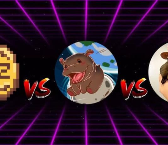 XYZVerse vs. Moo Deng vs. Peanut the Squirrel: Which Meme Coin Will Dominate December and January?