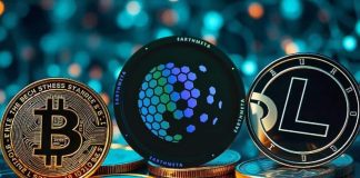 Finest Crypto to Purchase Now earlier than the Bull Run [Dec 2024]