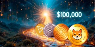 Depart SOL Behind: 500 USDT in These four Cash Might Hit 100Ok USDT by 2026