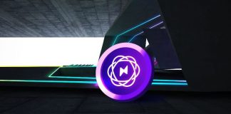 Shiba Inu Information The Stunning Similarity Between Lightchain and 2021 SHIB, What it Means for LCAI Holders