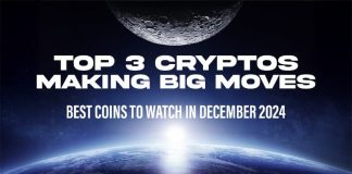 Greatest Cryptos to Purchase in December 2024: Find out how to Make the Most of This Bullish Market