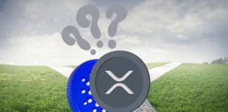 XRP and Cardano Face Finish Of 2024 Challenges: Will They Thrive, or Will a New Meme Coin Outshine Them?