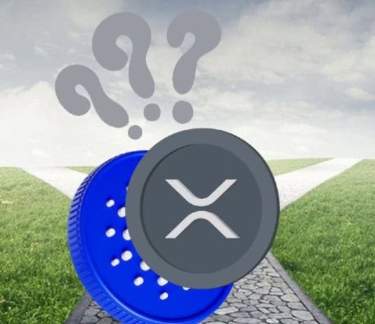XRP and Cardano Face Finish Of 2024 Challenges: Will They Thrive, or Will a New Meme Coin Outshine Them?