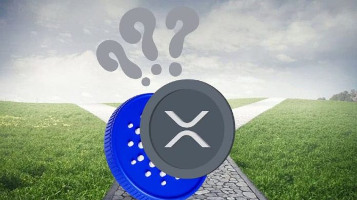 XRP and Cardano Face Finish Of 2024 Challenges: Will They Thrive, or Will a New Meme Coin Outshine Them?