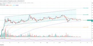 Ex-Hedge Fund Guru Bets Huge On Dogecoin As ‘Core Crypto Guess’