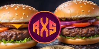 Is Now the Greatest Time to Put money into Crypto? Begin with These three Tokens Cheaper Than a Burger