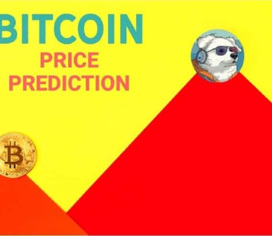 Bitcoin Surpasses $107Okay, Tom Lee Predicts $250Okay by 2025 – However There’s One other Coin That Might 1000x Even Sooner