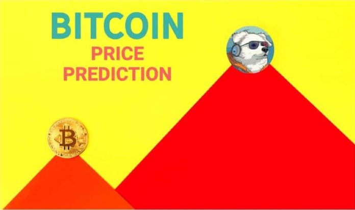 Bitcoin Surpasses $107Okay, Tom Lee Predicts $250Okay by 2025 – However There’s One other Coin That Might 1000x Even Sooner