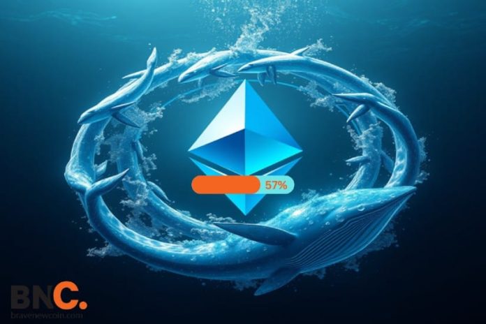Ethereum Whales Now Management 57% of All Ether: What’s Subsequent?