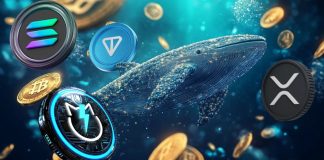 Crypto Whales are shopping for Toncoin, Solana, XRP and JetBolt this December 2024