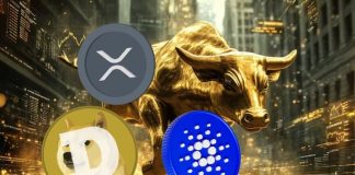 ADA, DOGE, XRP, and XYZVerse: 2025 Bull Run Value Predictions That Will Shock You