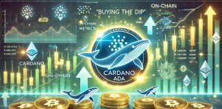 On-Chain Metrics Reveal Cardano Whales Are ‘Shopping for The Dip’ – Particulars
