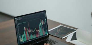 Constructing a Profitable Portfolio: Putting the Proper Steadiness Between Crypto and Foreign exchange Property