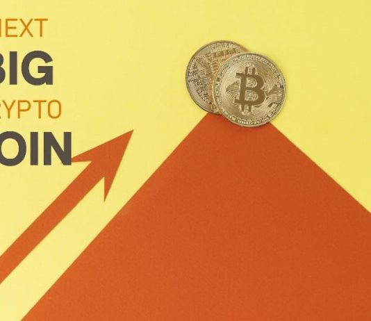 The Subsequent Huge Crypto Coin: High Picks for Explosive Development in 2025