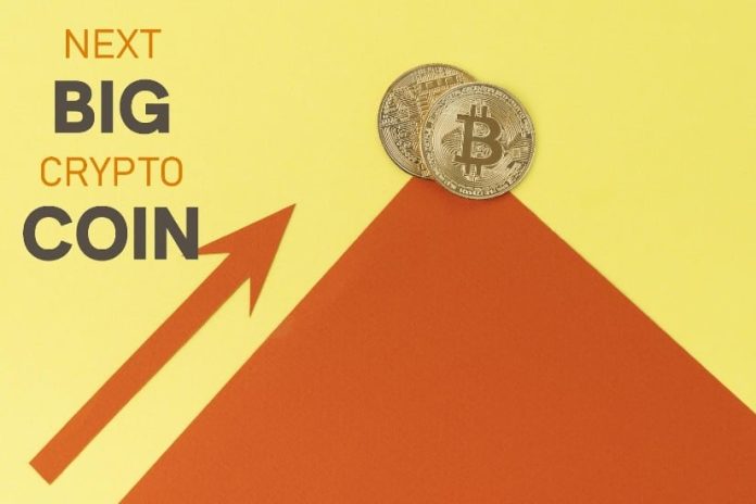 The Subsequent Huge Crypto Coin: High Picks for Explosive Development in 2025