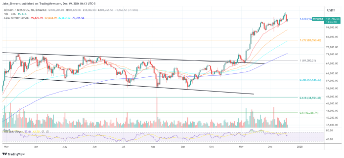 Is The Crypto Bull Run Over? High Exec Discusses The Market Crash