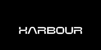 Harbour Groups with Velocity Labs to Launch On the spot Stablecoin Fee Between EU Banks and Polkadot