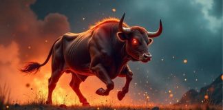 Finest Memecoin to Purchase Now: 5 Picks for Huge Income and a Thrilling Bull Run Journey