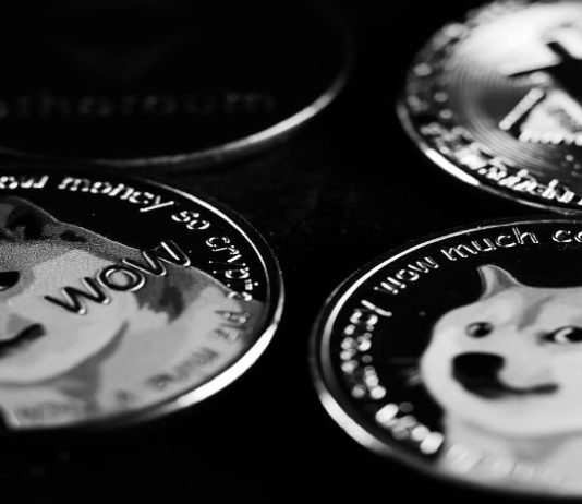 DOGE, SHIB, and PEPE In The Crimson Whereas New Memes Put together For Explosive Good points