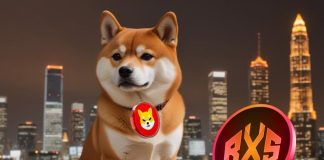 Shiba Inu and Dogecoin Constructed Fortunes in 2021, However The Subsequent Large Crypto Millionaires May Maintain These 2 Cash
